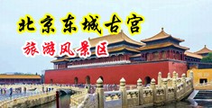 肏逼内射视频合集中国北京-东城古宫旅游风景区